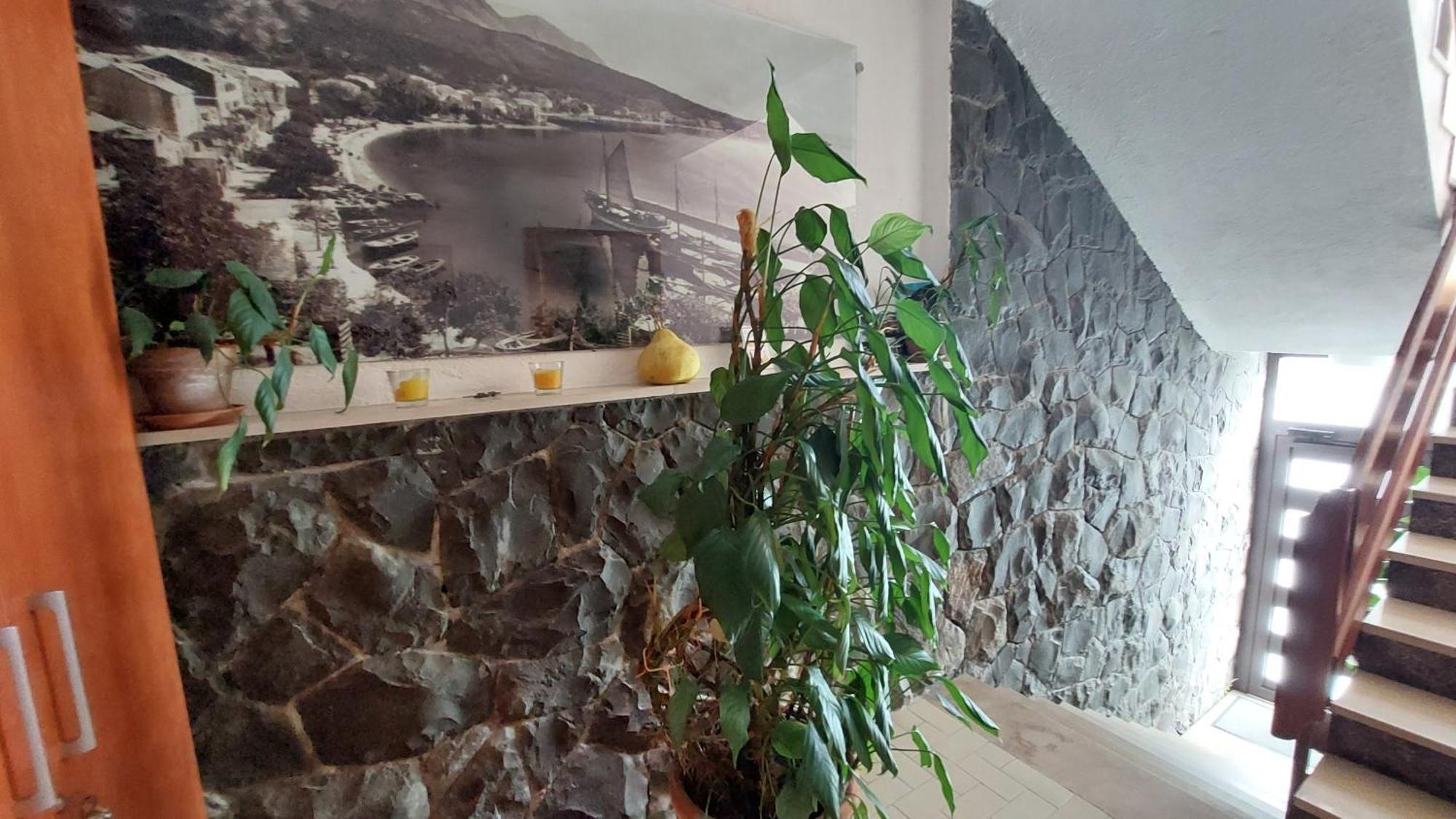 Apartmán Haus Sonja Podgora Exteriér fotografie